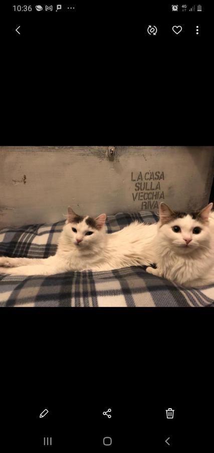 フェラーラLa Casa Sulla Vecchia Rivaアパートメント エクステリア 写真